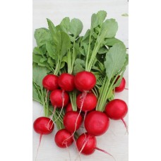 Редиска Родос 5г